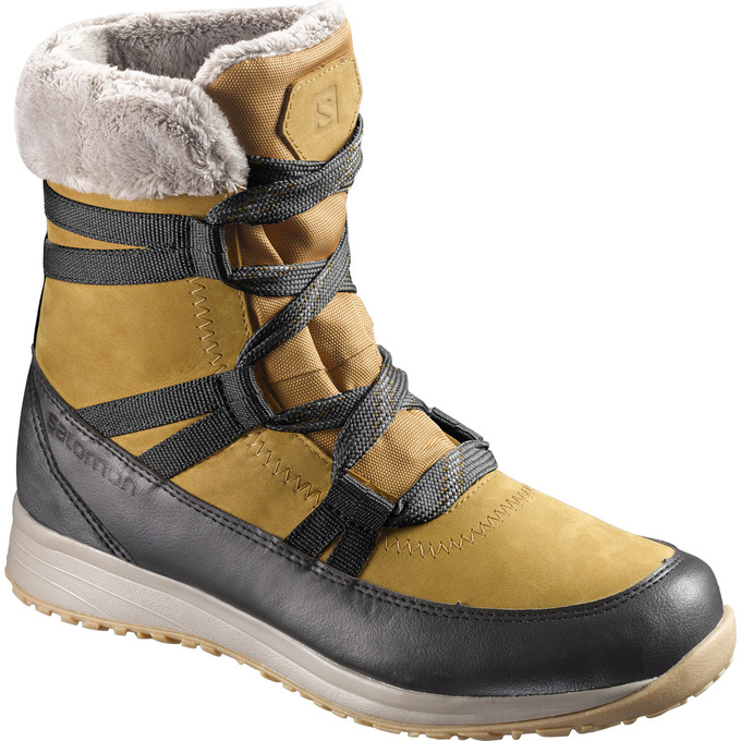 Salomon Singapore Mens Winter Boots - HEIKA LTR CS WP Brown/Black | 49837-FBIO